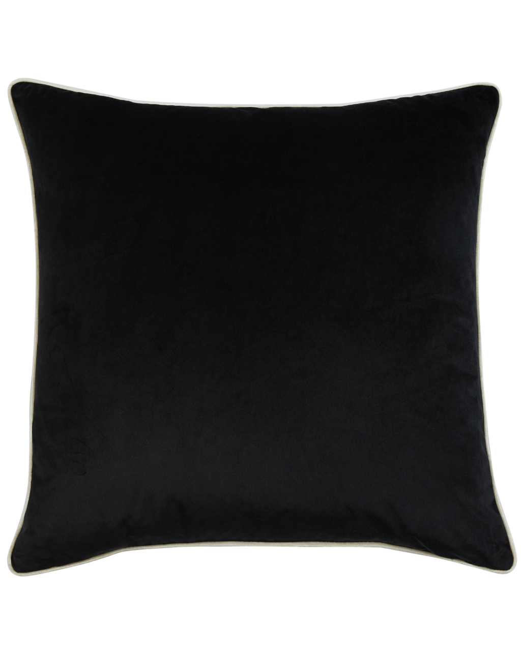 Ebony with White Piping