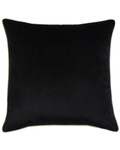 Ebony with White Piping