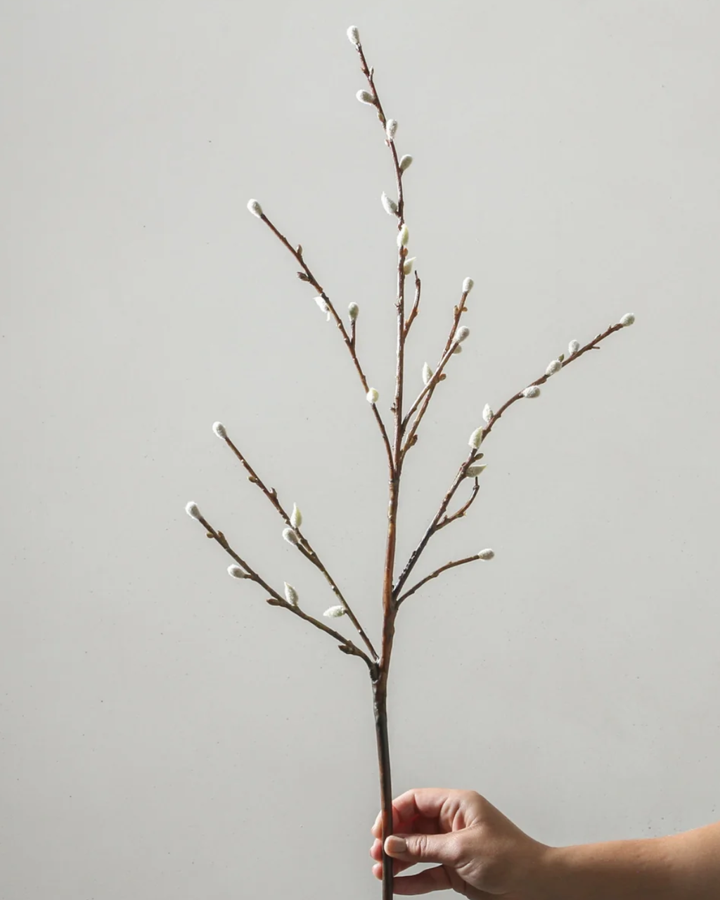 Branch | White