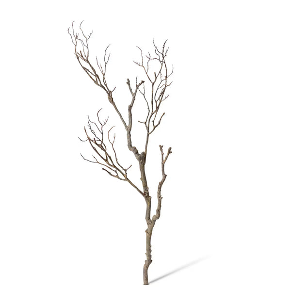 Deadwood Branch