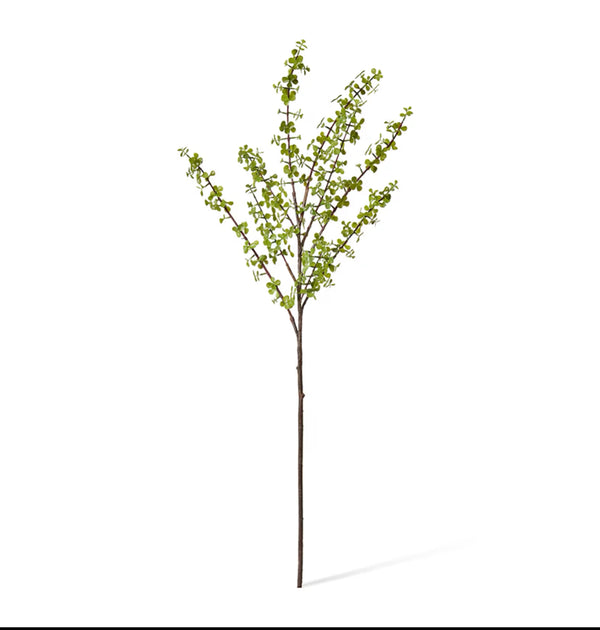 Jade Stem