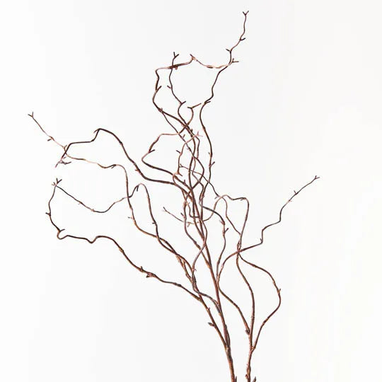 Curly Willow Twig Brown