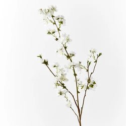 Blossom Cherry White