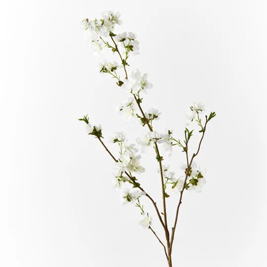 Blossom Cherry White