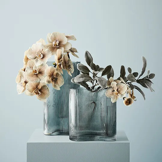 Orchid Phalaenopsis Infused Almond