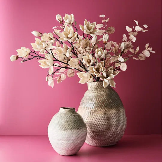 Magnolia Japanese Spray - Cream