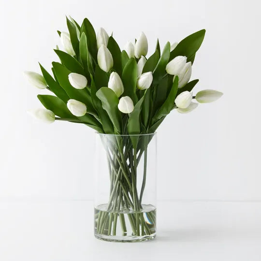 Tulips in Glass Vase Arrangement