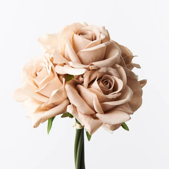 Rose Bouquet- Latte