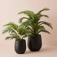 Sprout Pot - Ebony