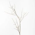 Twig Spray Brown