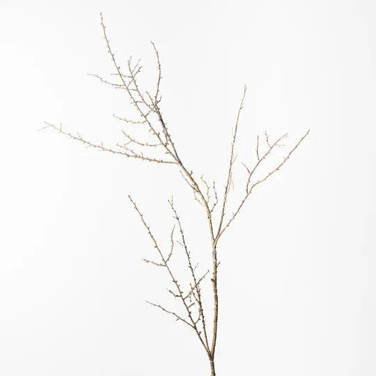 Twig Spray Brown