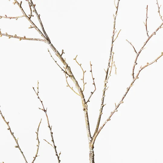 Twig Spray Brown