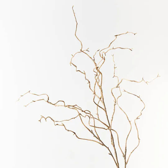 Curly Willow Twig Sand