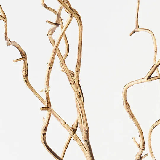 Curly Willow Twig Sand