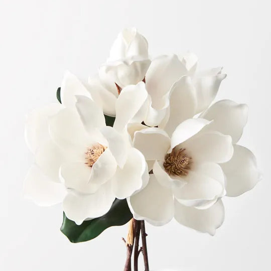 Magnolia Bouquet