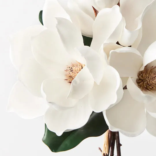 Magnolia Bouquet