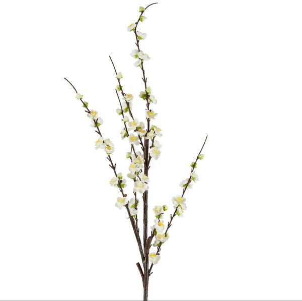 Japonica Blossom Stem