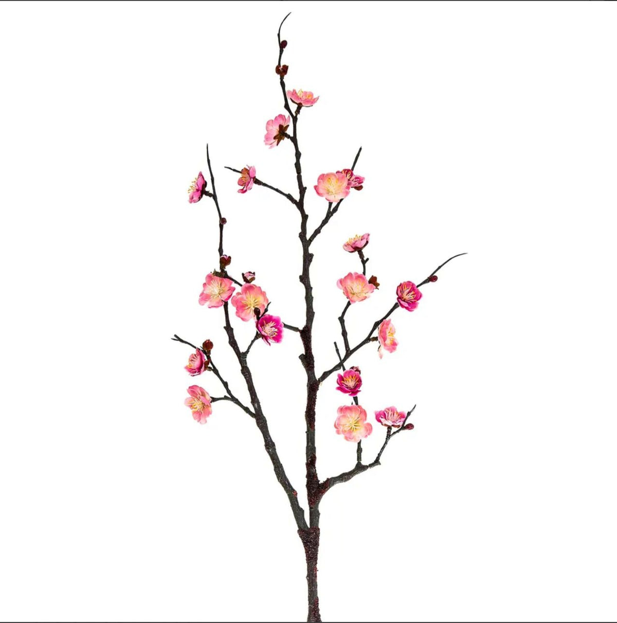 Plum Blossom Spray - Pink