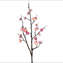 Plum Blossom Spray - Pink